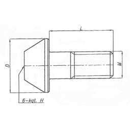 LOCKING SCREW 6-999-250 TMX